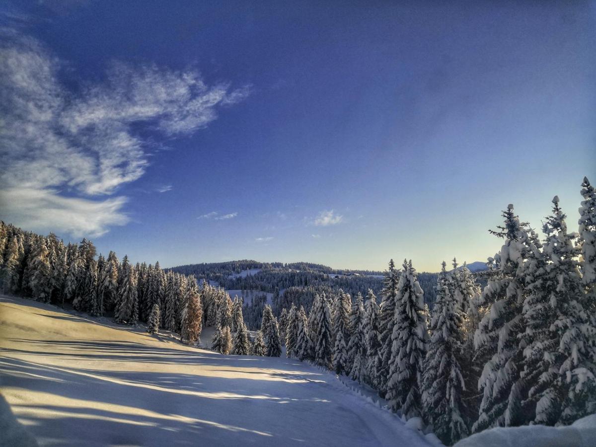 Oberhauser Huette Rodenecker - Luesner Alm Luson Bagian luar foto